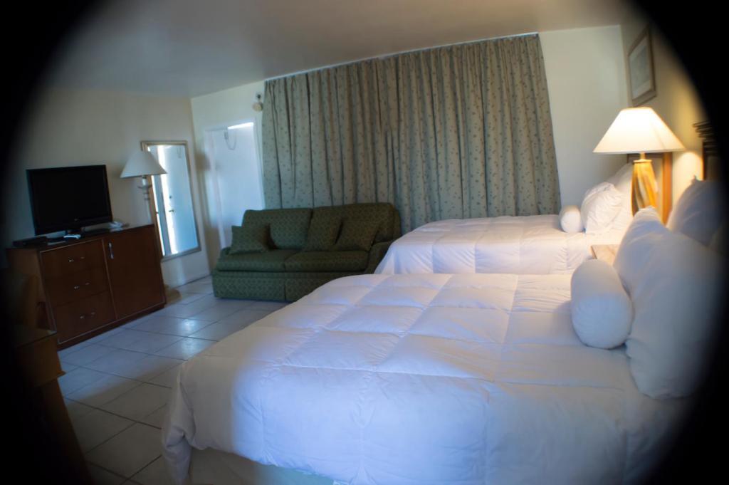 Downtown Hollywood Gardens Inn & Suites Eksteriør bilde